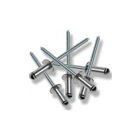 Perçin Pop 4x20 mm (10 Adet)