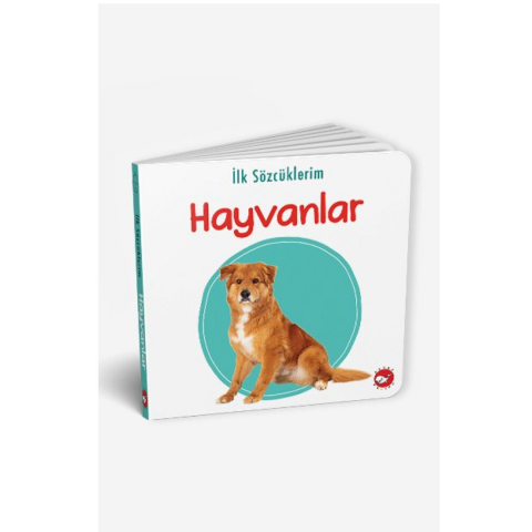 İlk Sözcüklerim - Evcil Hayvanlar